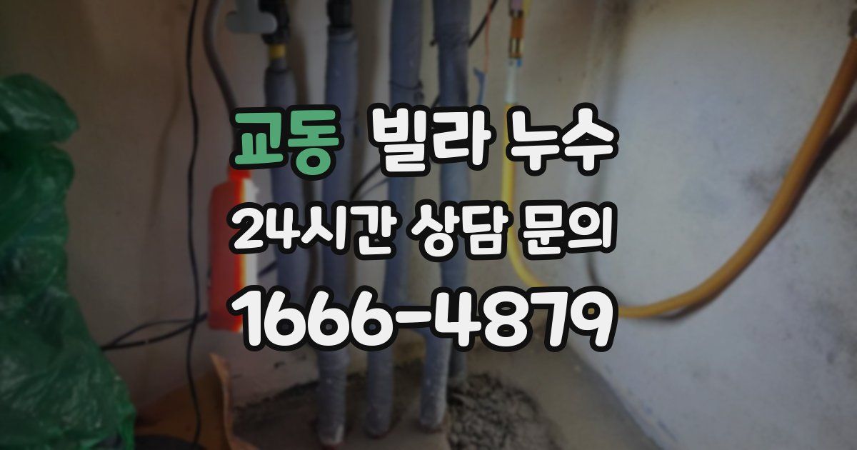 교동 빌라 누수