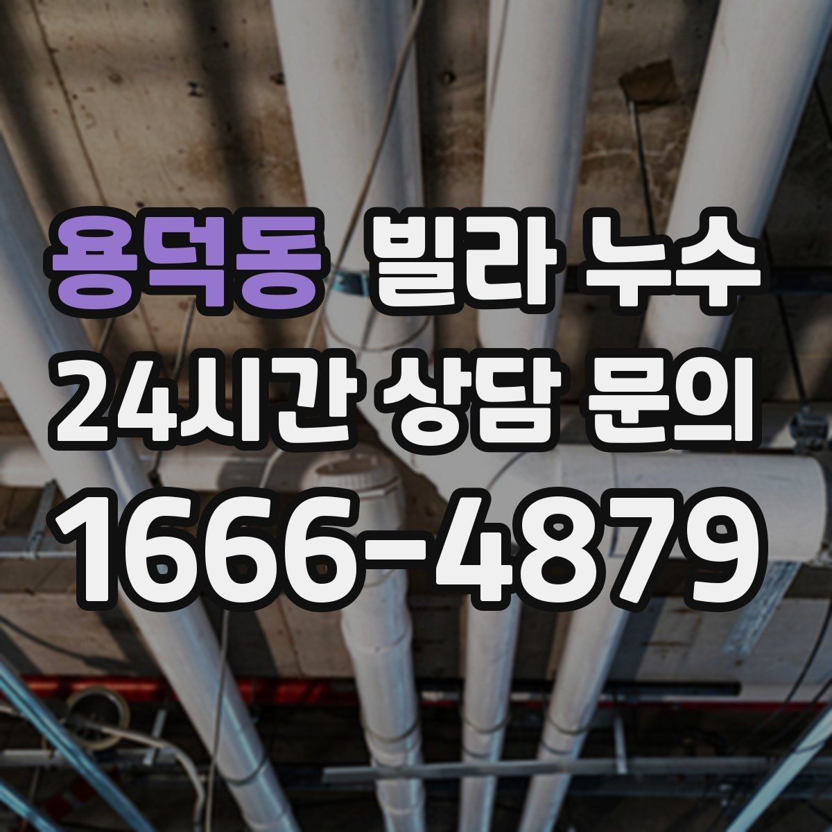 용덕동 빌라 누수 벽지 이음새가 벌어지면 누수를 의심해보세요