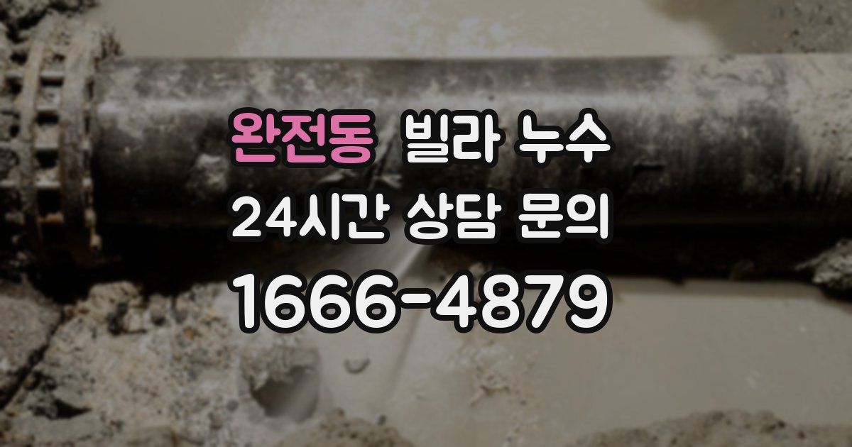 완전동 빌라 누수