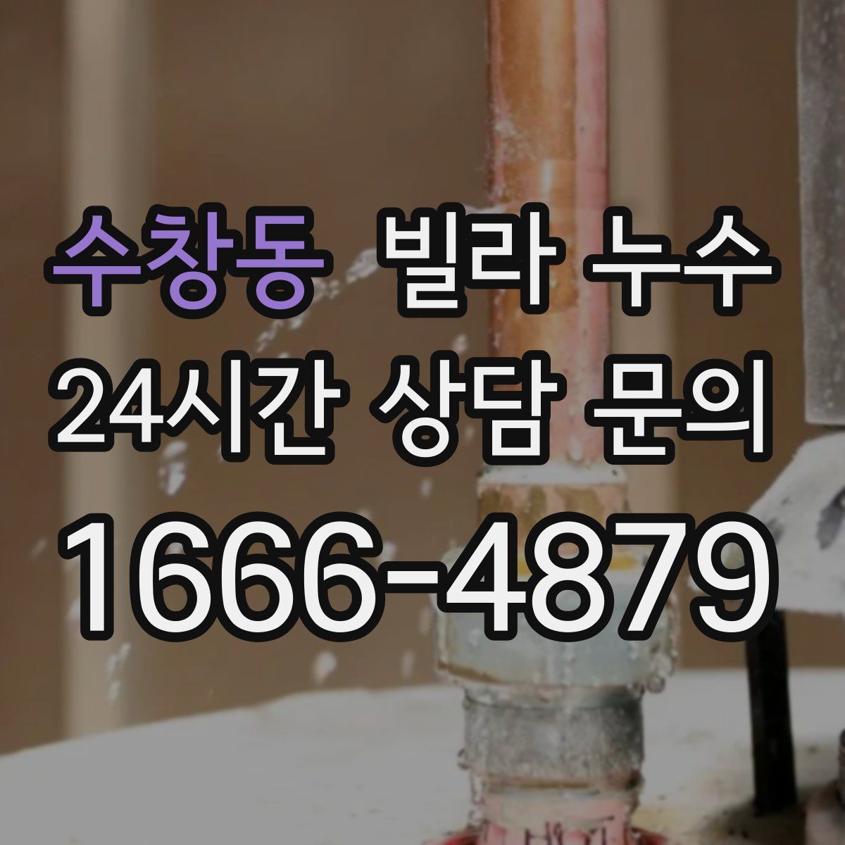 수창동 빌라 누수