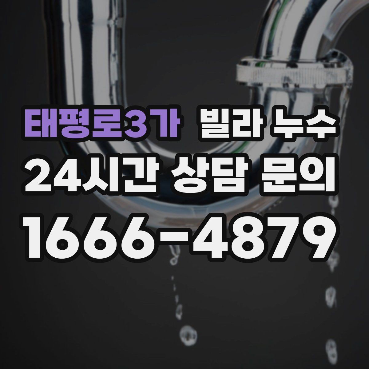태평로3가 빌라 누수 몰딩이 들뜨고 변색되면 누수 가능성