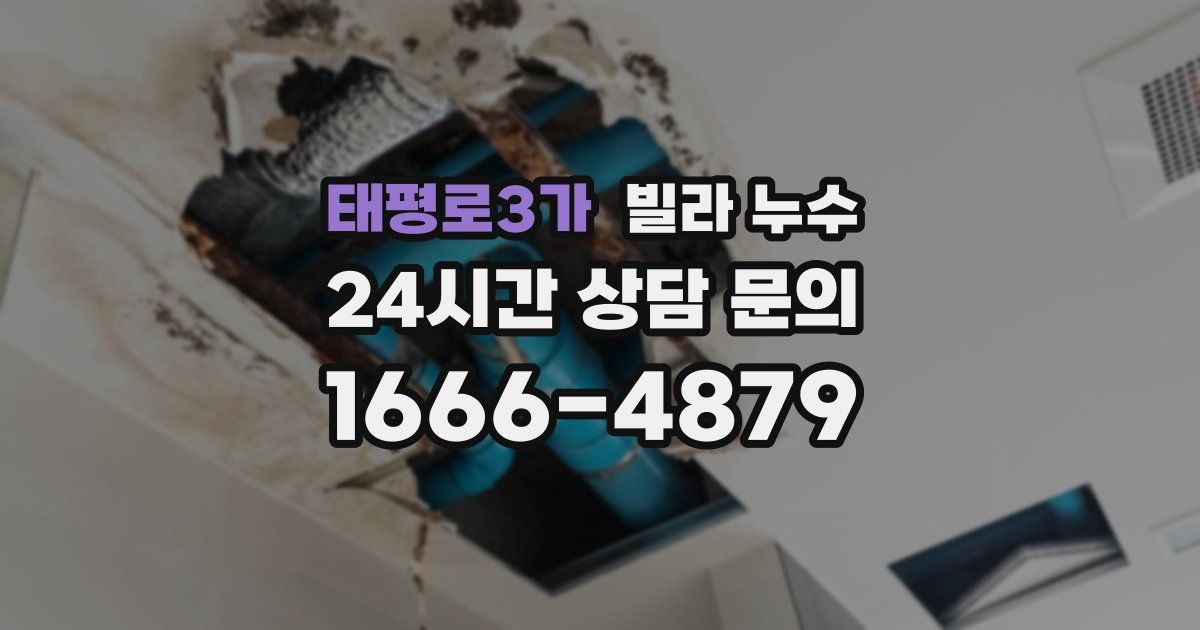 태평로3가 빌라 누수