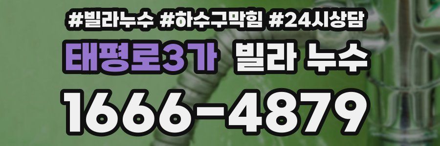 태평로3가 빌라 누수