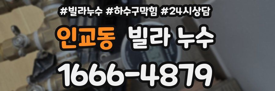 인교동 빌라 누수