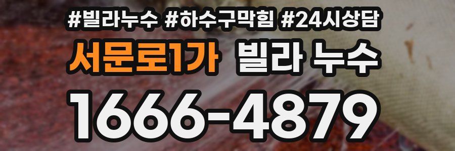 서문로1가 빌라 누수