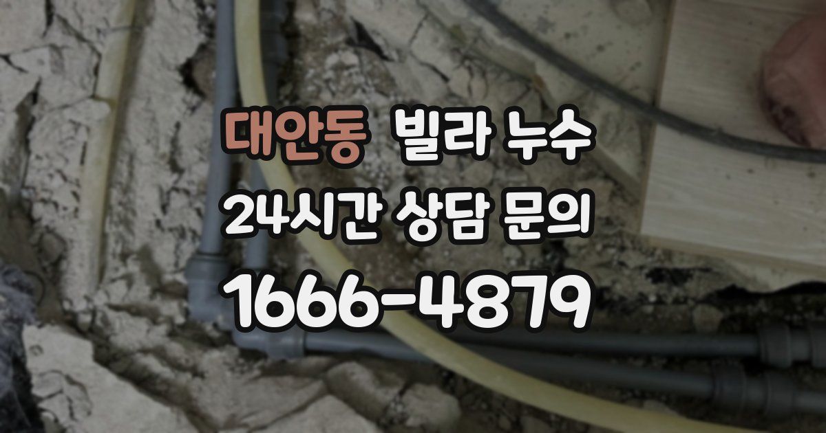 대안동 빌라 누수