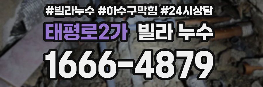태평로2가 빌라 누수