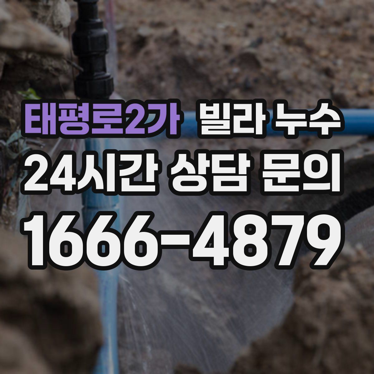 태평로2가 빌라 누수