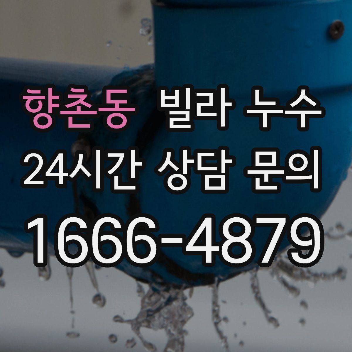 향촌동 빌라 누수