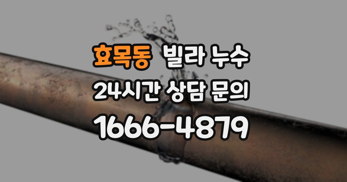 효목동 빌라 누수