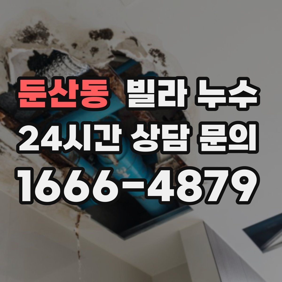 둔산동 빌라 누수 곰팡이가 번지기 전에 점검해야 합니다
