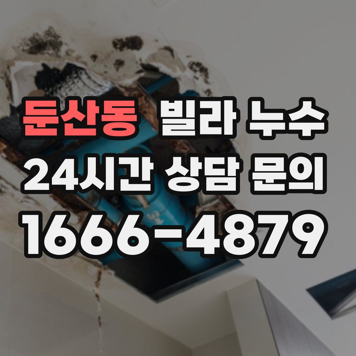 둔산동 빌라 누수