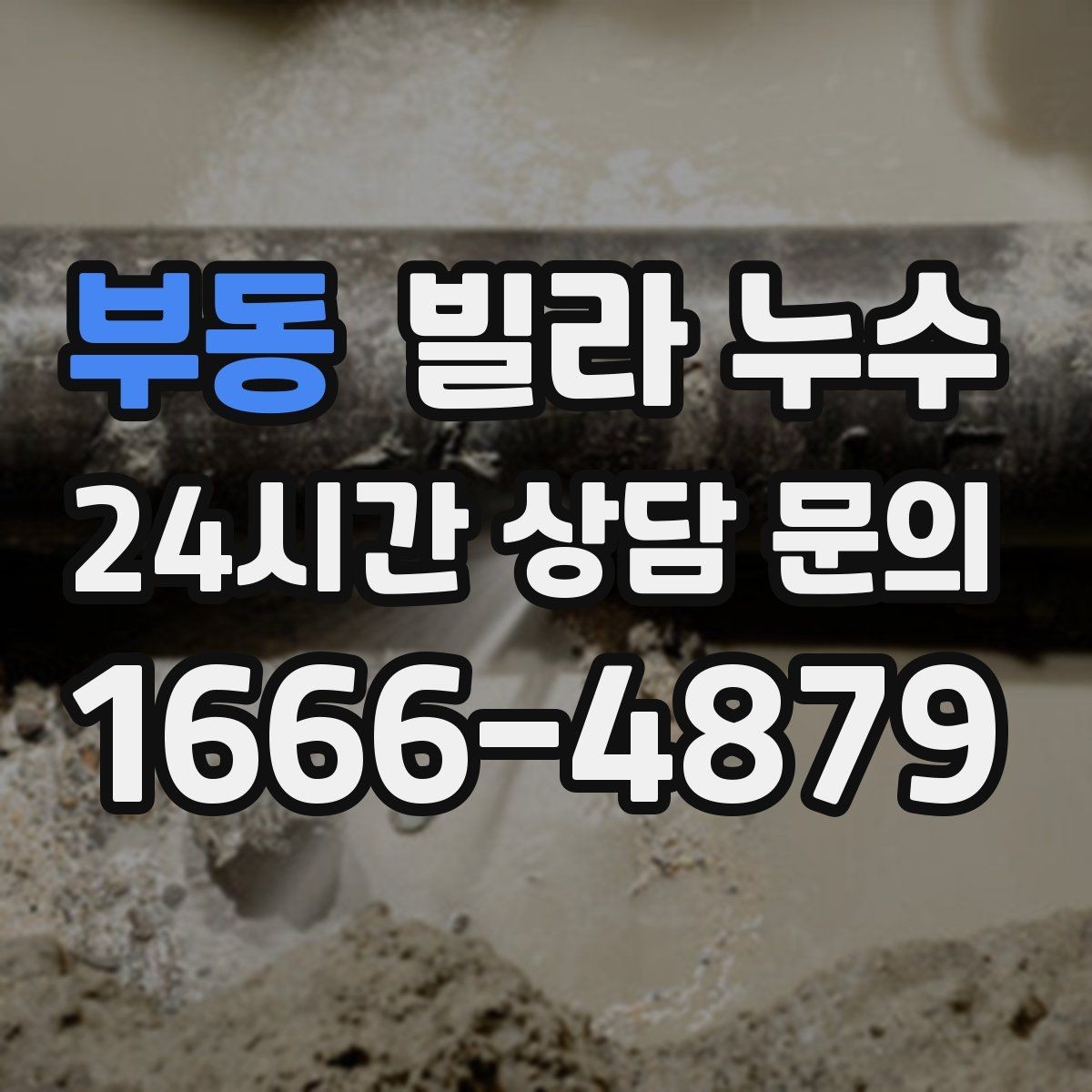 부동 빌라 누수 결로와 누수를 구분하는 간단한 확인법