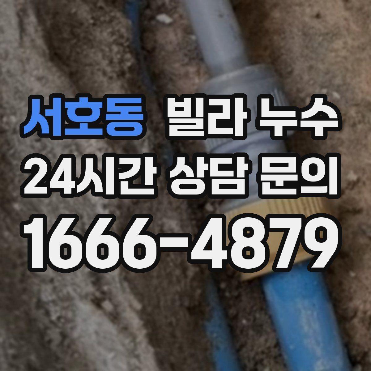 서호동 빌라 누수 거실 벽이 젖는다면 어디부터 볼까