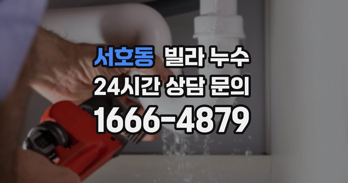 서호동 빌라 누수