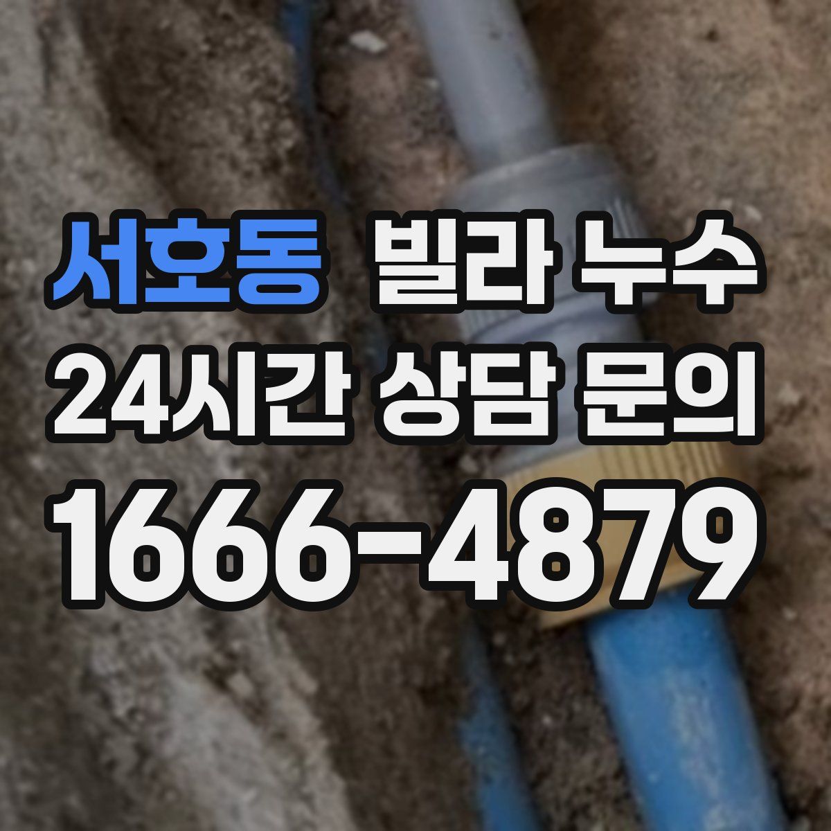 서호동 빌라 누수