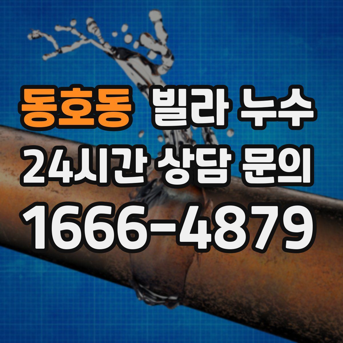 동호동 빌라 누수