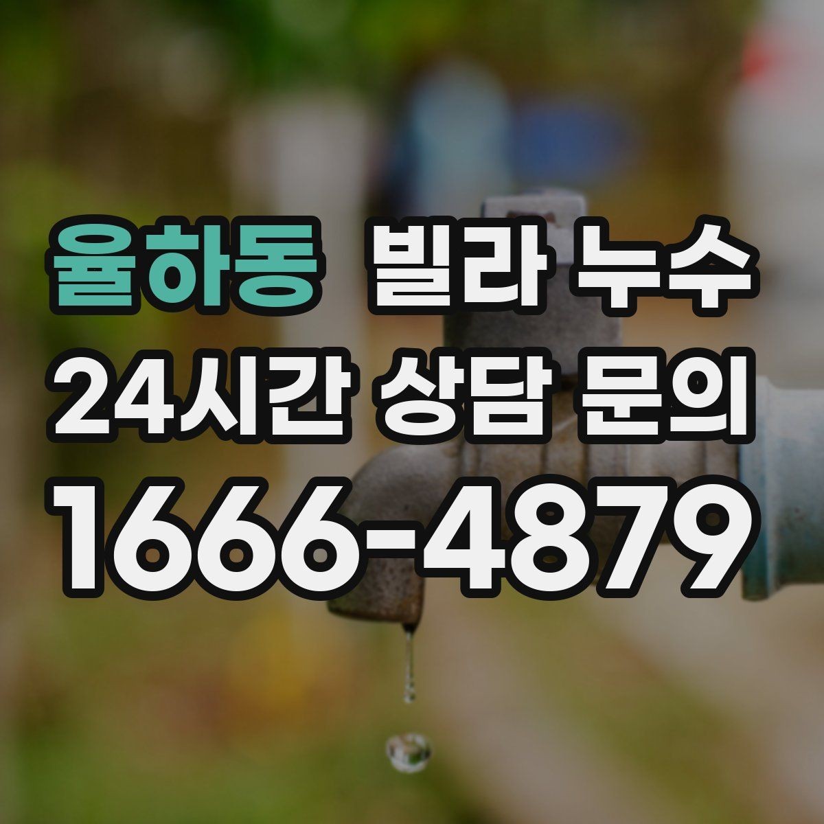 율하동 빌라 누수 거실 벽이 젖는다면 어디부터 볼까