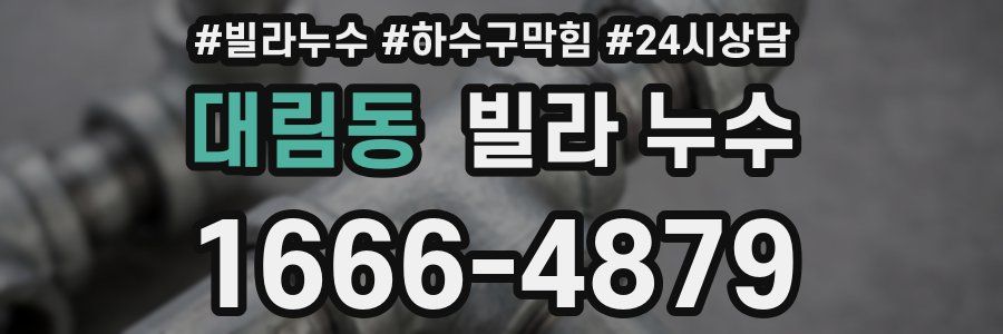 대림동 빌라 누수