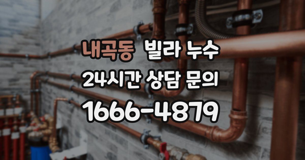 내곡동 빌라 누수