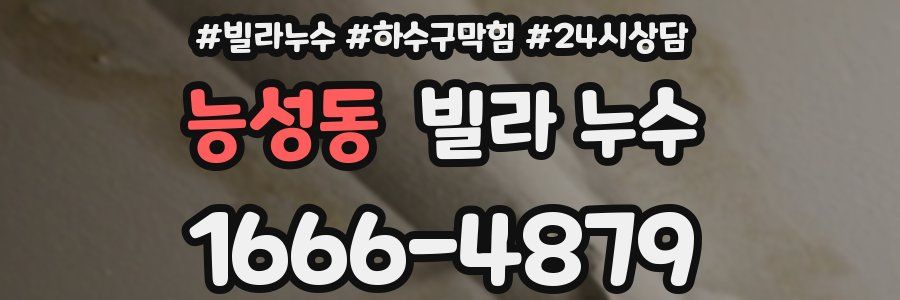 능성동 빌라 누수