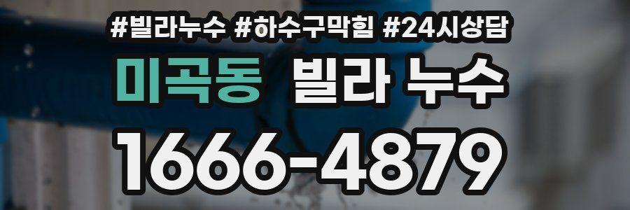 미곡동 빌라 누수