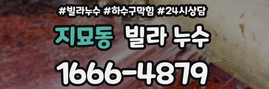 지묘동 빌라 누수