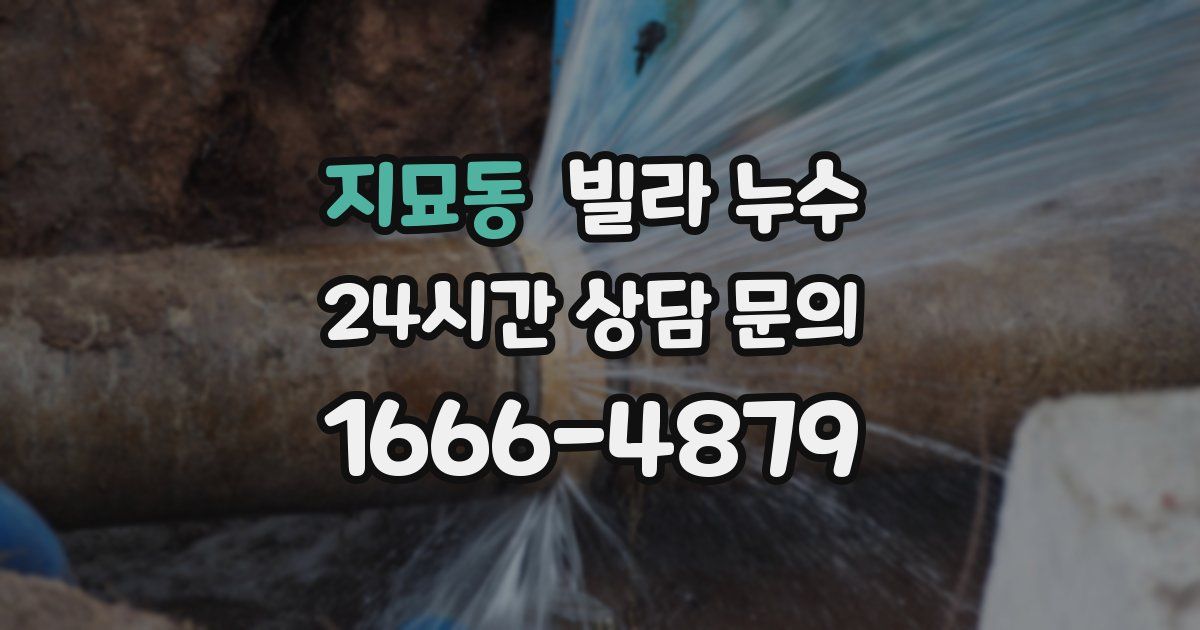 지묘동 빌라 누수