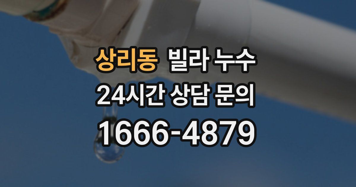 상리동 빌라 누수