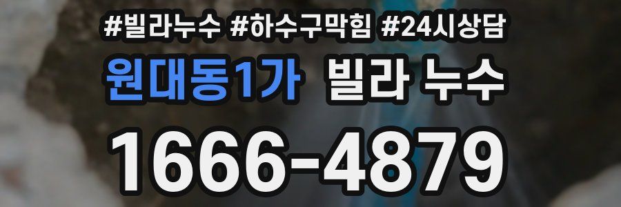 원대동1가 빌라 누수