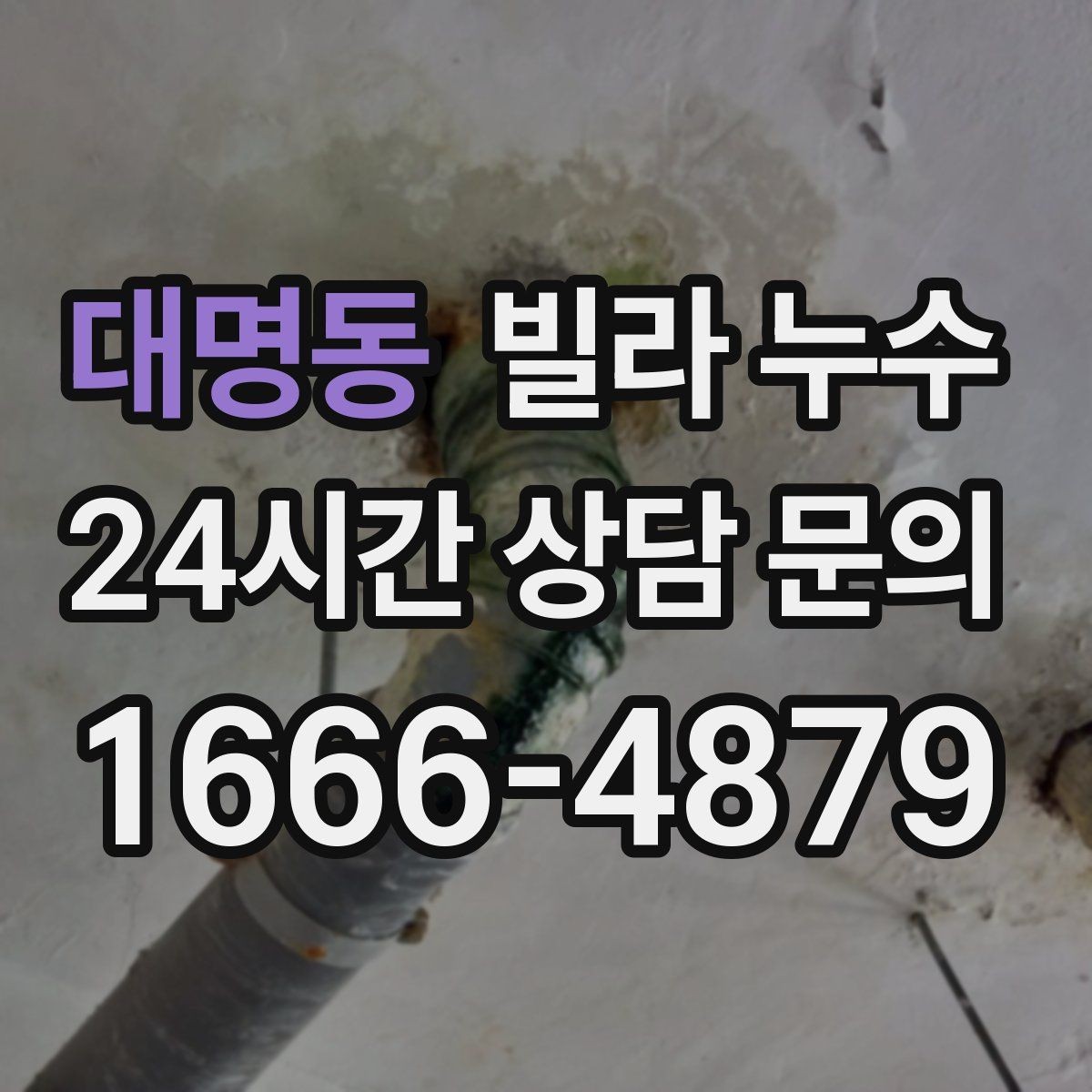 대명동 빌라 누수 현관 바닥이 젖으면 외부 유입일까