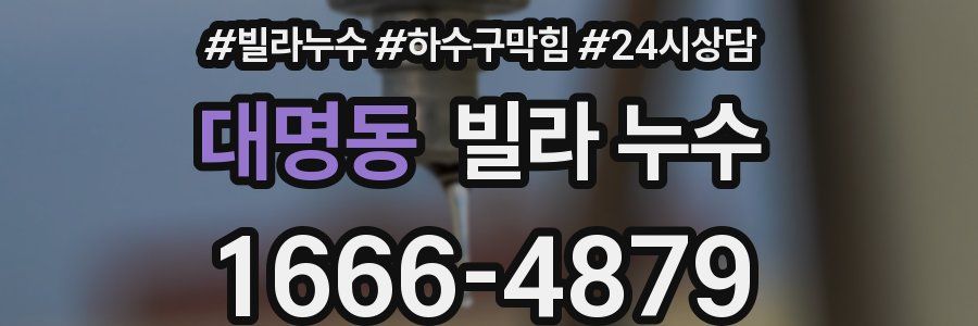 대명동 빌라 누수