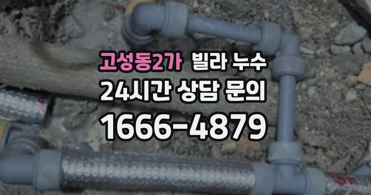 고성동2가 빌라 누수