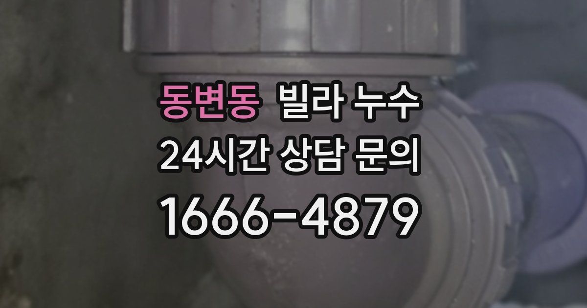 동변동 빌라 누수