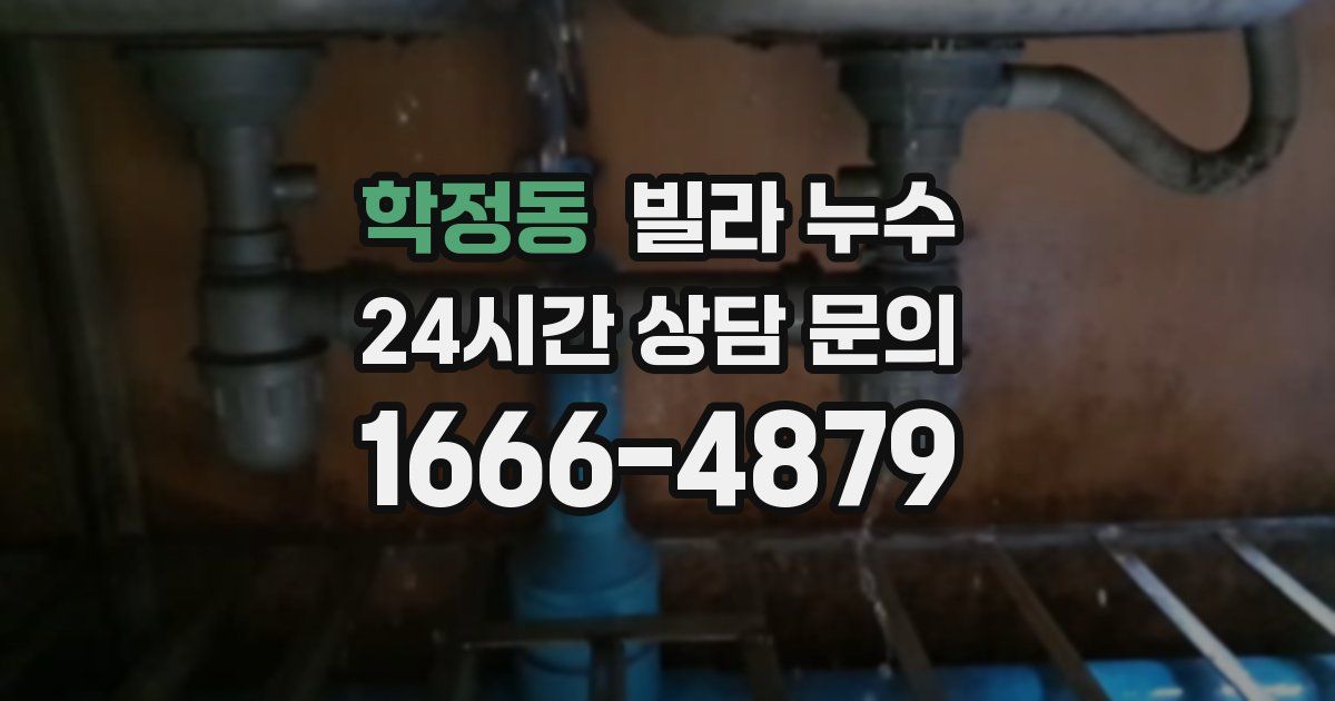 학정동 빌라 누수