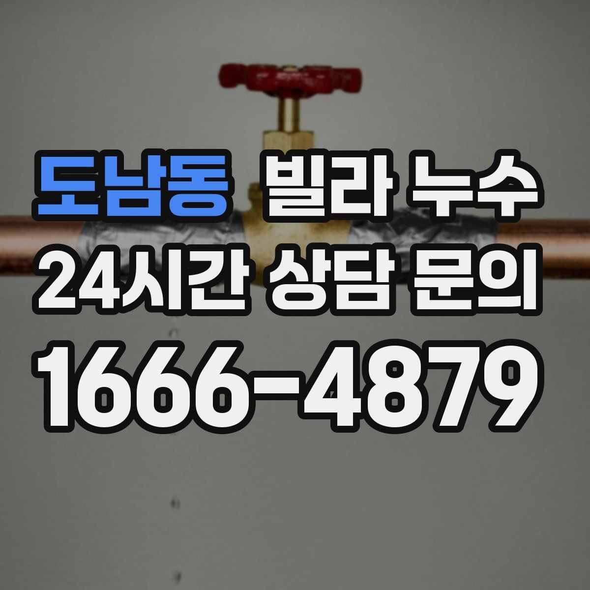 도남동 빌라 누수 섣불리 도배부터 하면 재발할 수 있어요