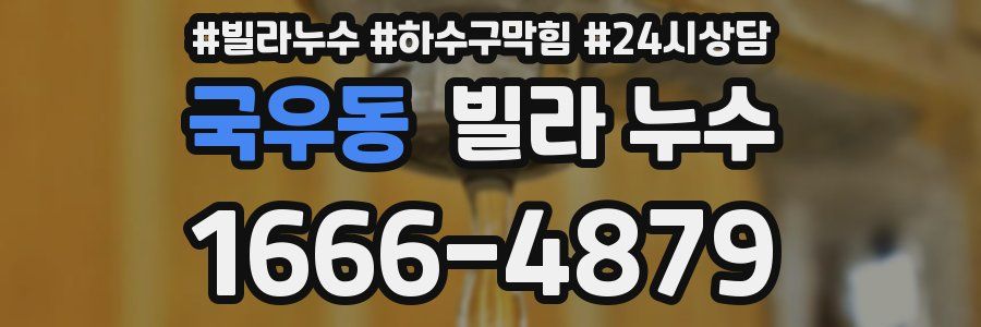 국우동 빌라 누수