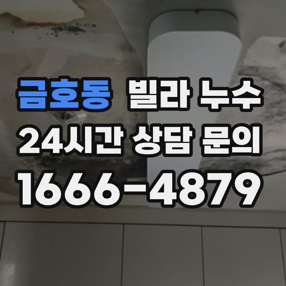 금호동 빌라 누수 샤워부스 문틀 주변이 젖는 현상 정리
