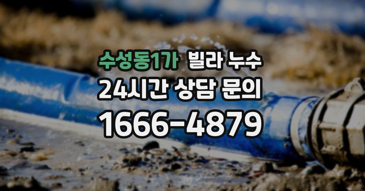 수성동1가 빌라 누수