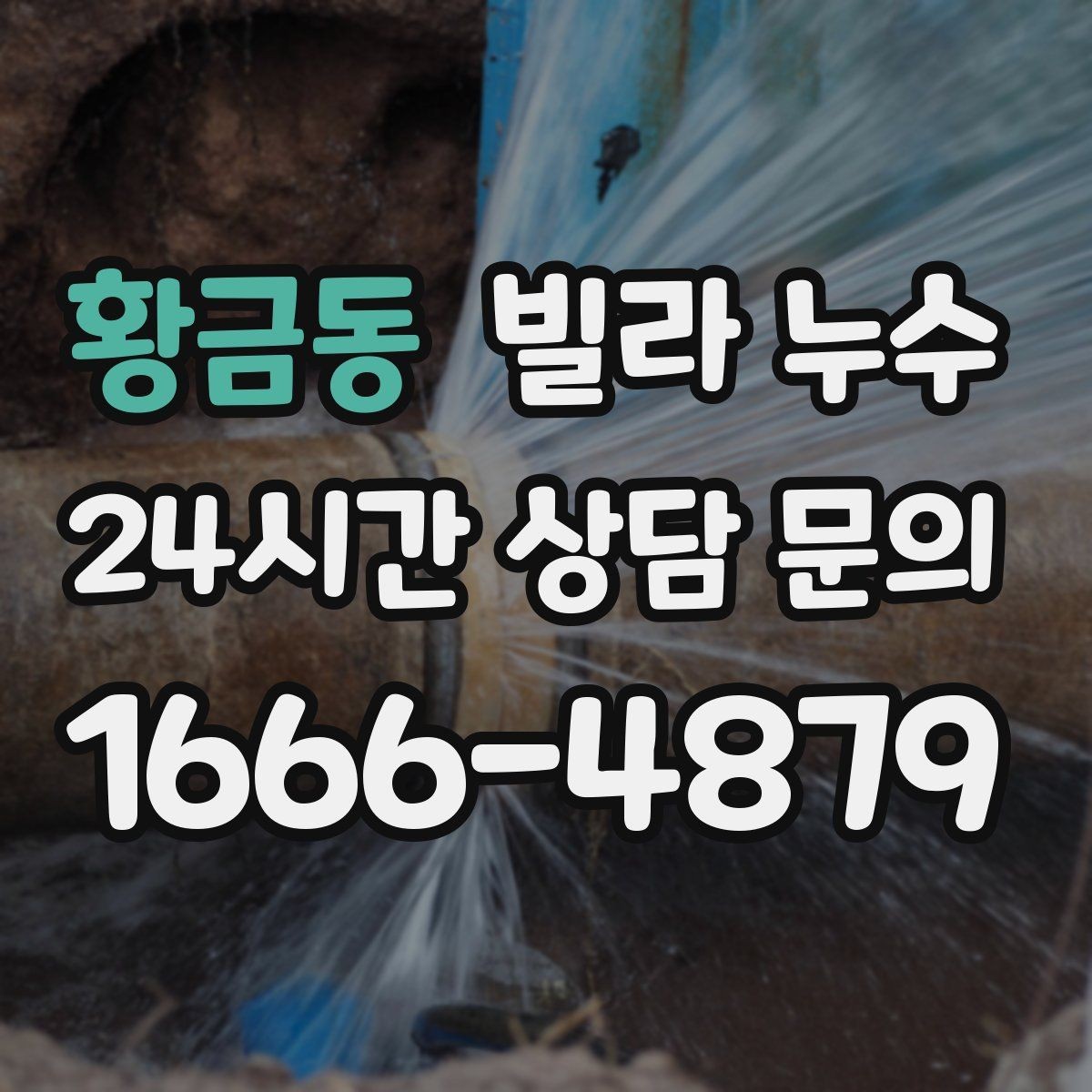 황금동 빌라 누수 욕실에서만 냄새가 올라오면 배수도 점검