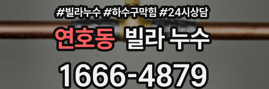 연호동 빌라 누수