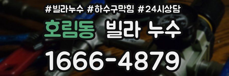 호림동 빌라 누수