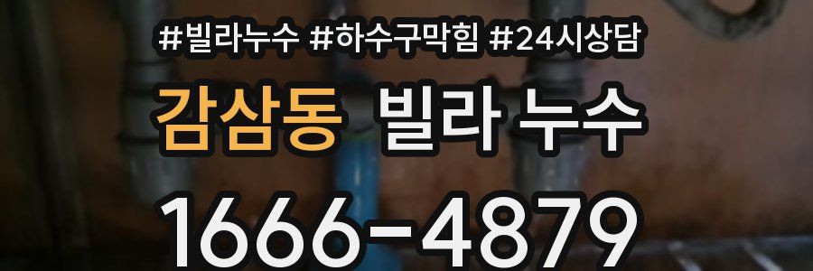 감삼동 빌라 누수