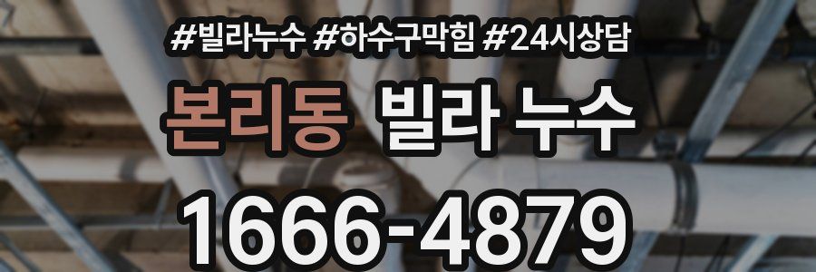 본리동 빌라 누수