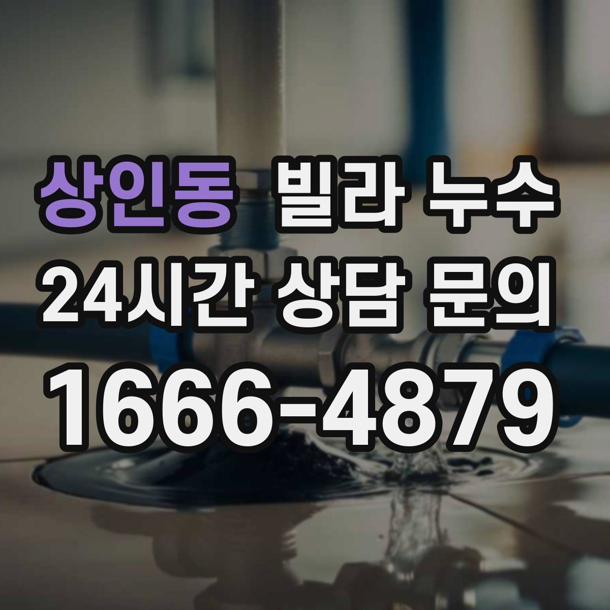 상인동 빌라 누수 신발장 아래쪽이 젖으면 원인부터 점검