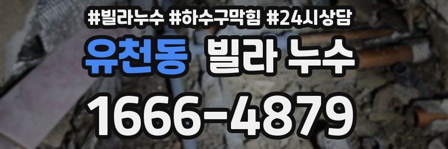 유천동 빌라 누수