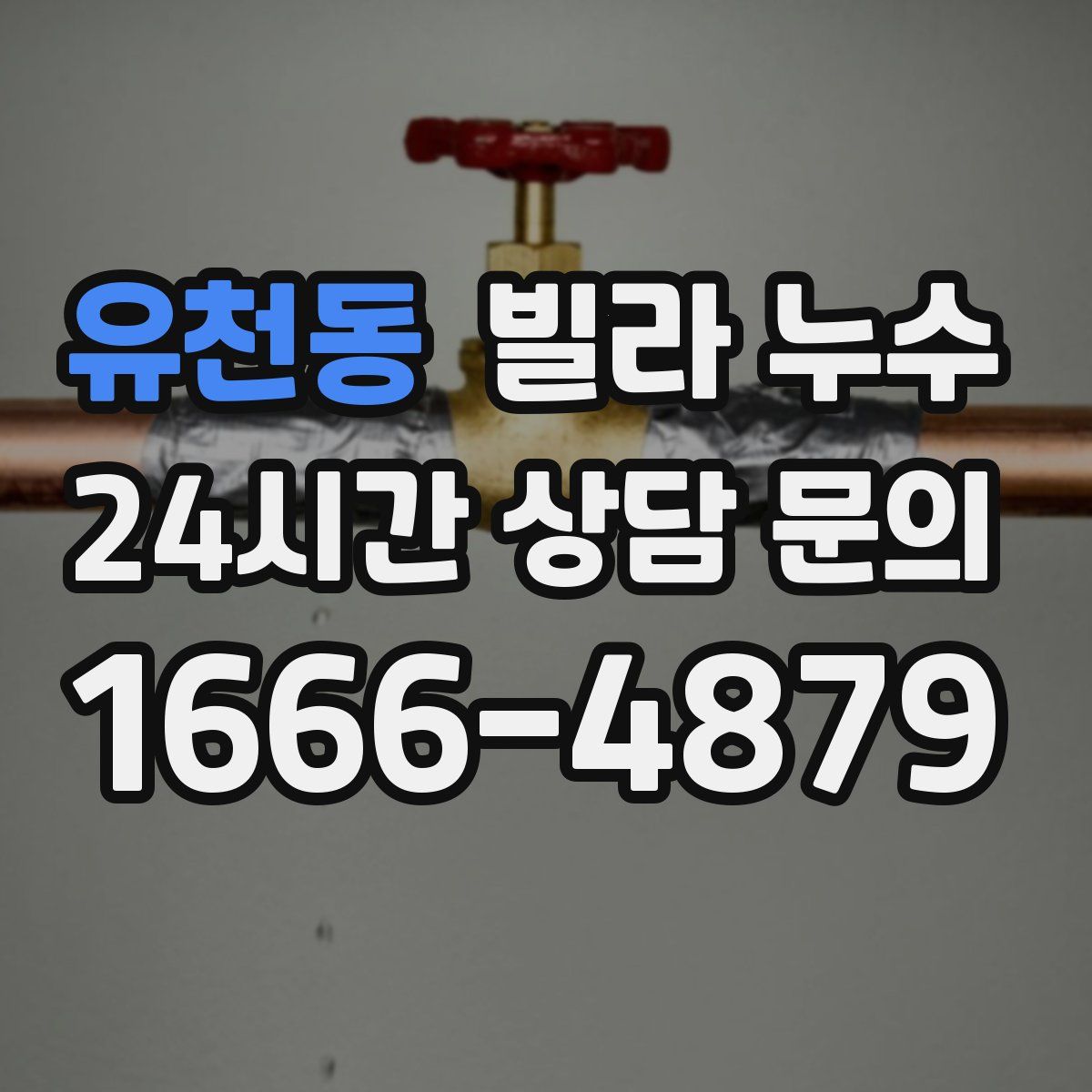 유천동 빌라 누수