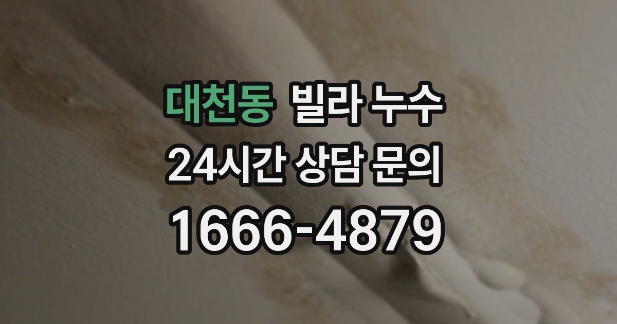 대천동 빌라 누수