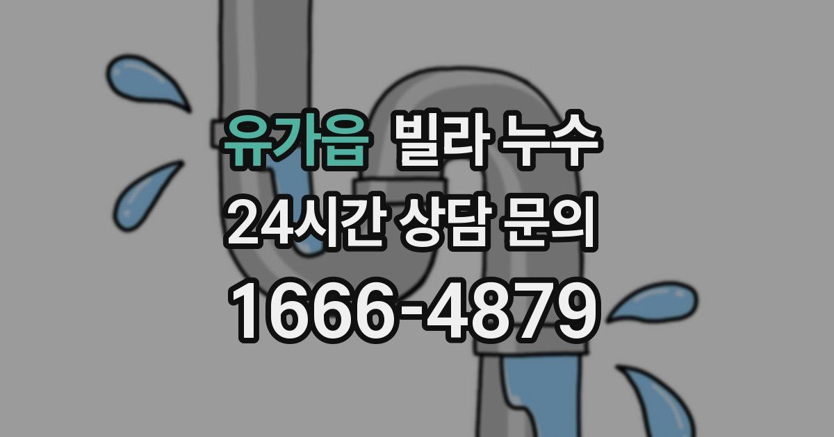 유가읍 빌라 누수