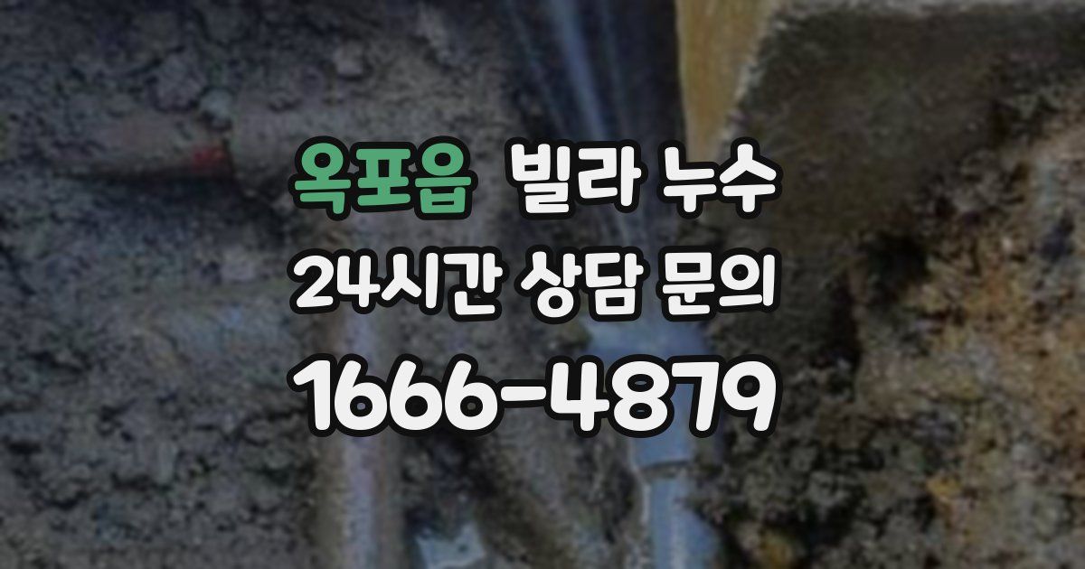 옥포읍 빌라 누수